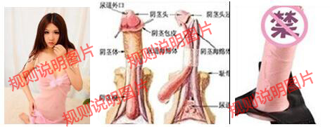image002.png