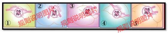 image038.png